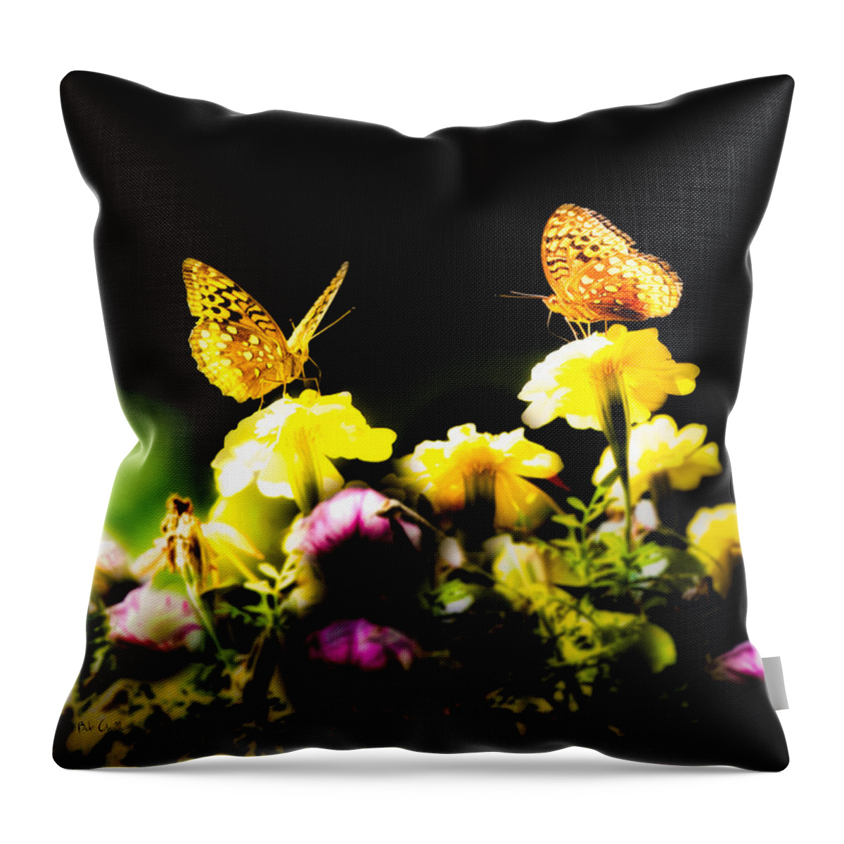 Insect Throw Pillow featuring the photograph Autumn is when we first met by Bob Orsillo