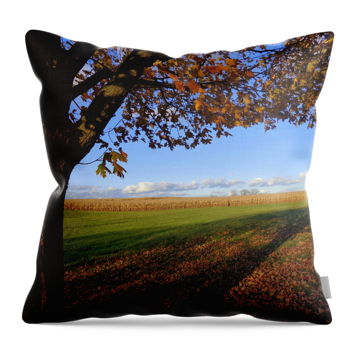 Skompski Throw Pillow featuring the photograph Autumn Landscape by Joseph Skompski