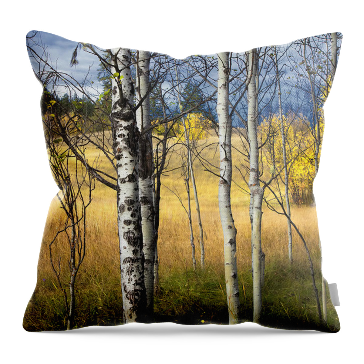 Autumn Throw Pillow featuring the photograph Autumn Landscape by Theresa Tahara