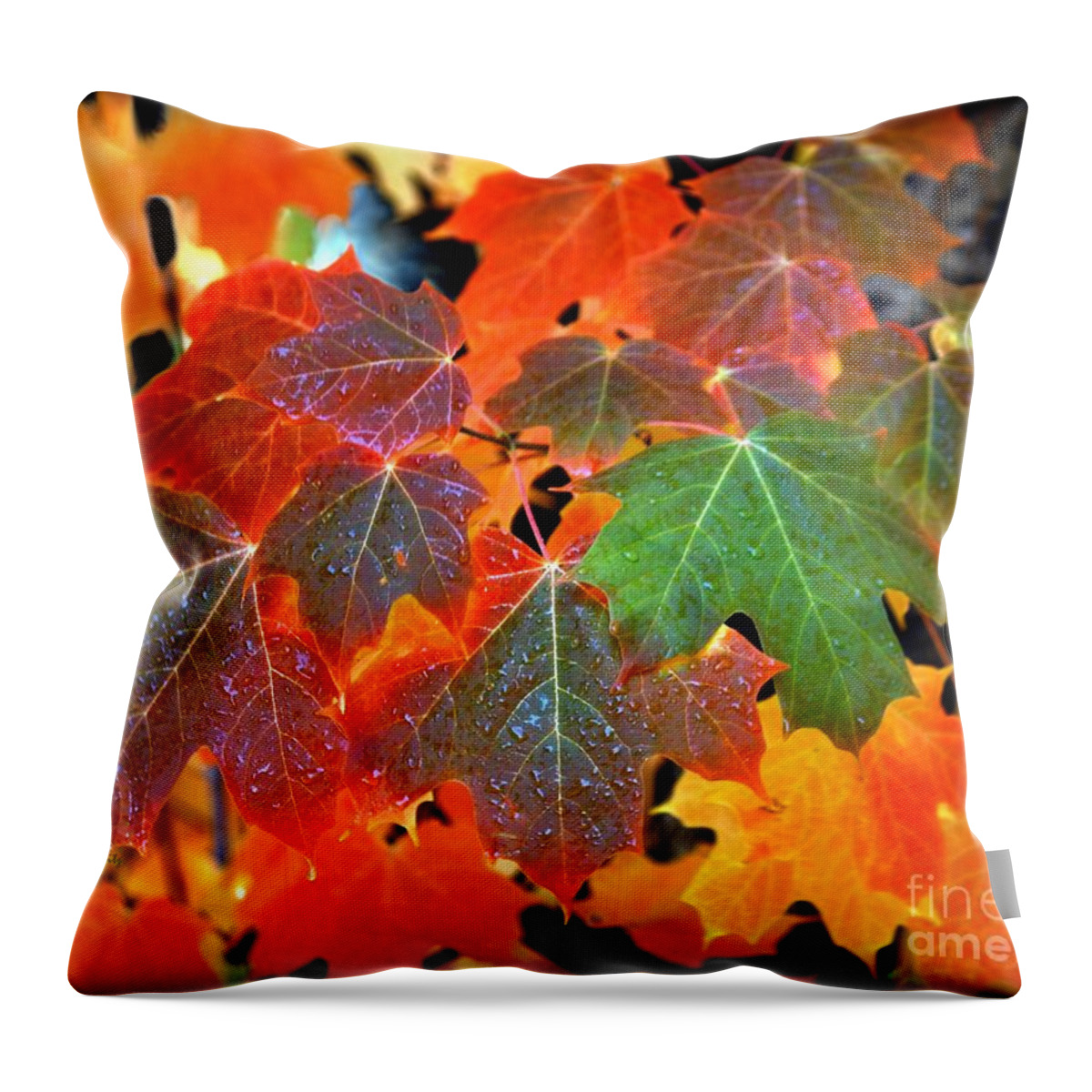 Autumn Leaf Progression Throw Pillow featuring the photograph Autumn Leaf Progression by Patrick Witz