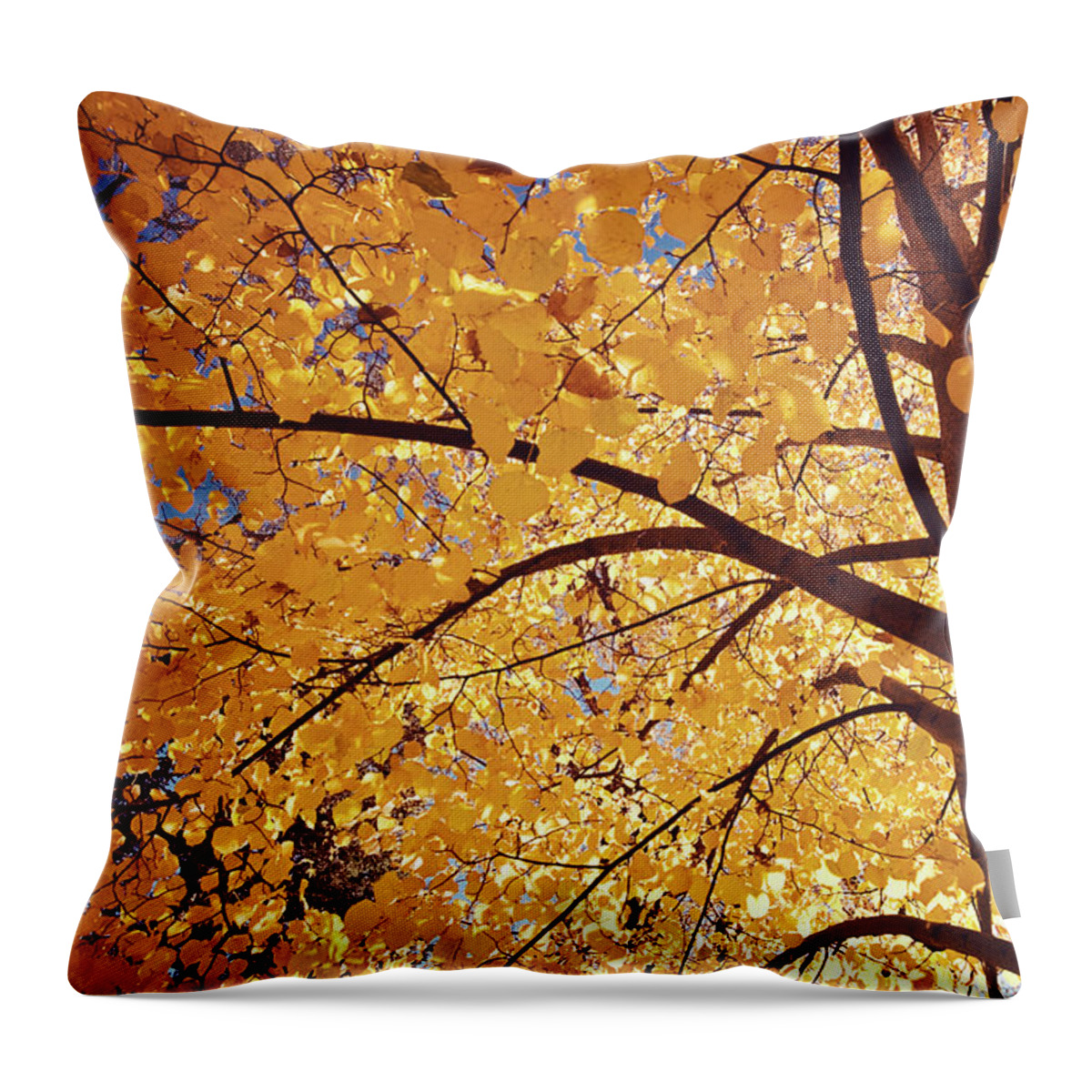 Shadow Throw Pillow featuring the photograph Autumn Leaves by Ivanastar