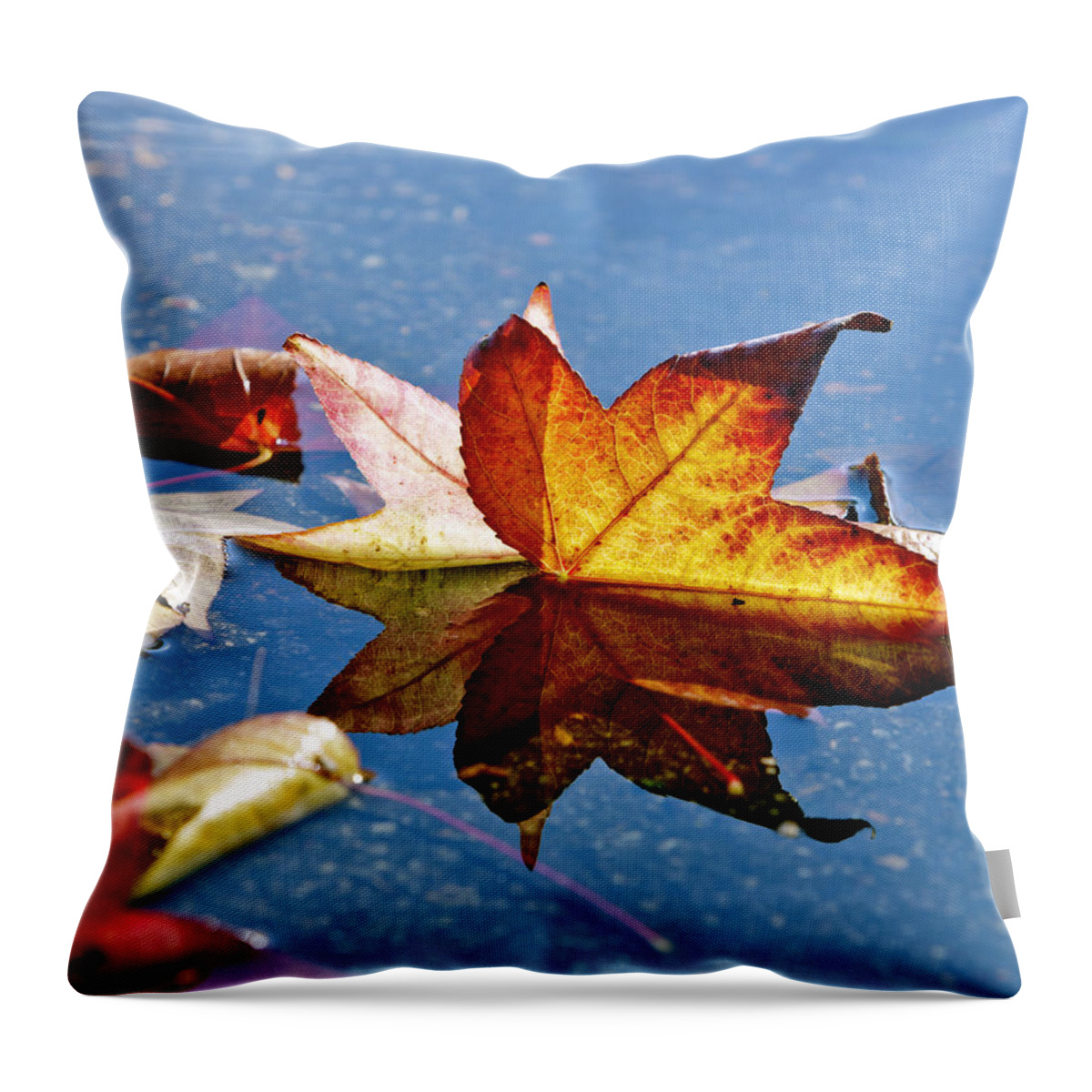Autumn Leaves Throw Pillow featuring the photograph Autumn Leaves by Her Arts Desire