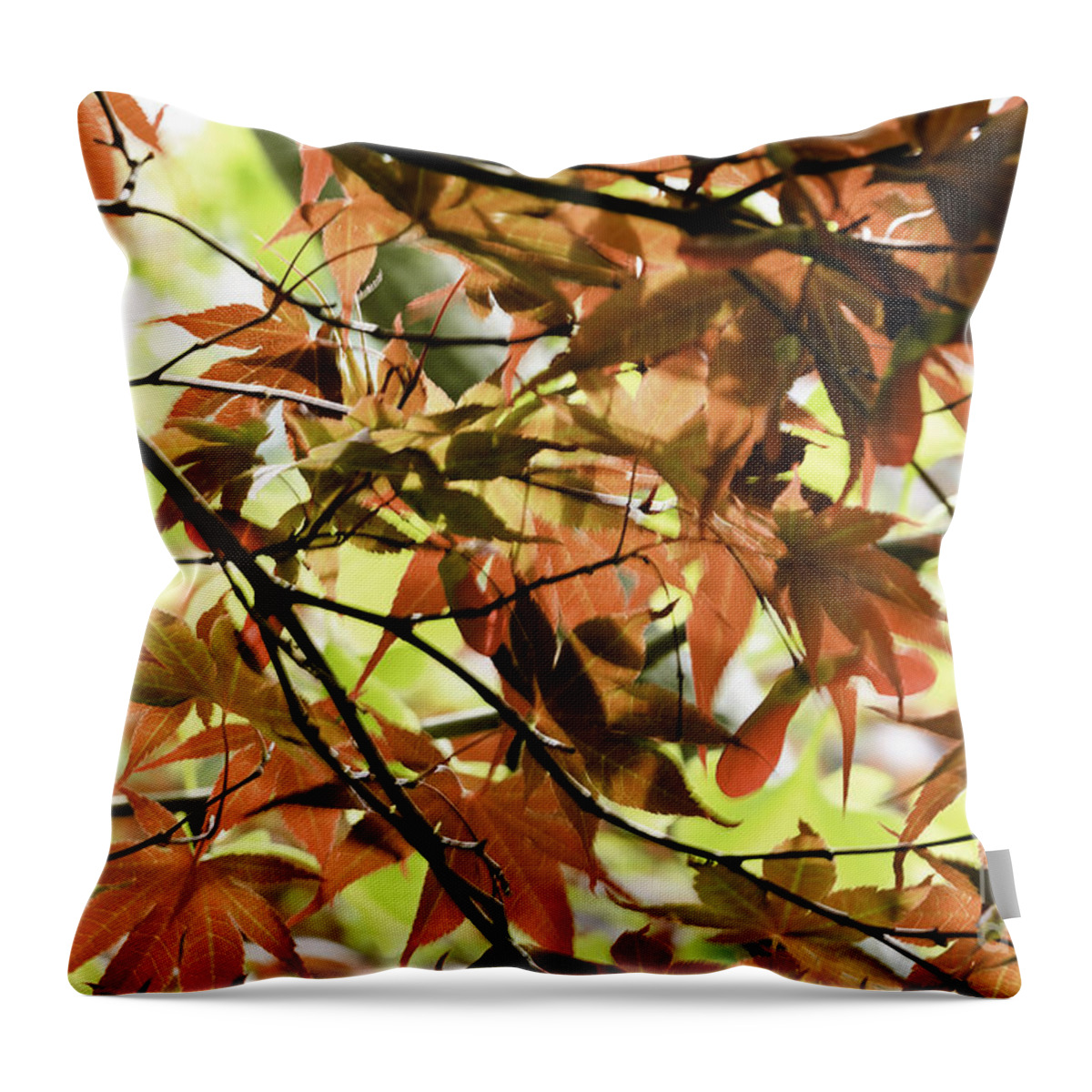 Autumn Throw Pillow featuring the photograph Autumn Leaves by Richard J Thompson 