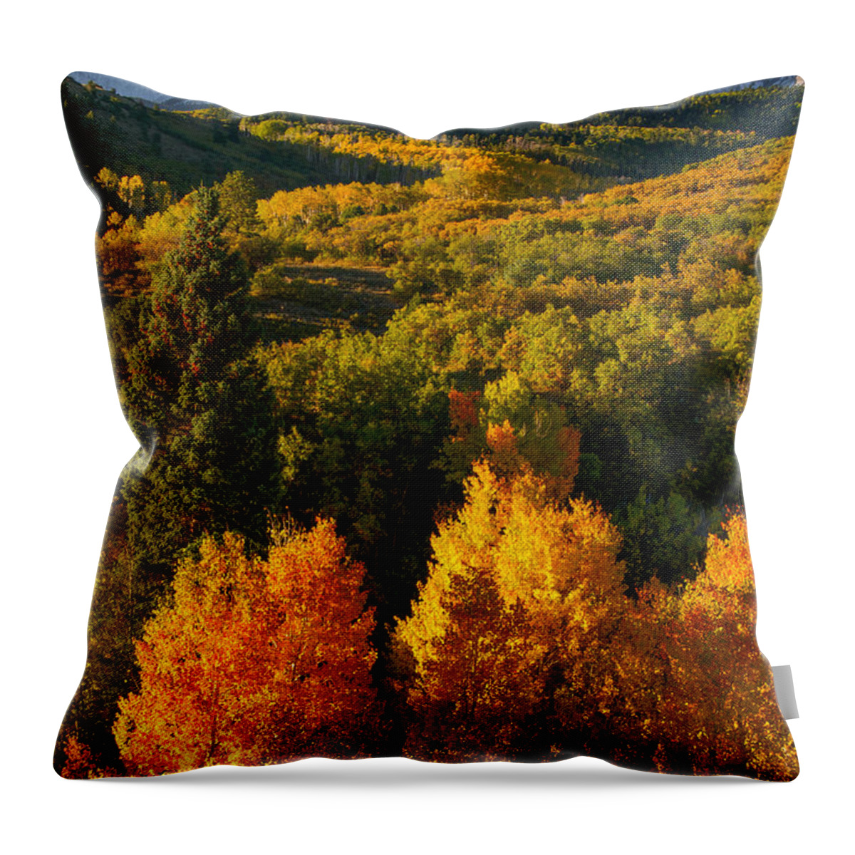Autumn Throw Pillow featuring the photograph Autumn Light by Aaron Spong