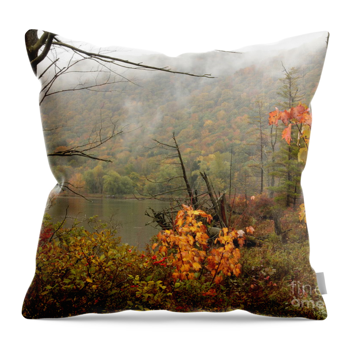 Mist Throw Pillow featuring the photograph Autumn Mist by Rod Best