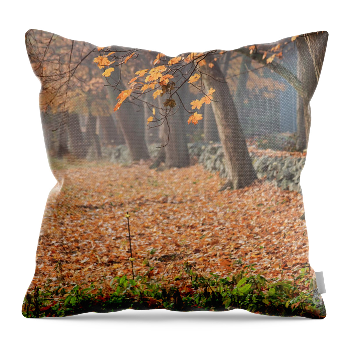 Autumn Throw Pillow featuring the photograph Autumn Morning Fog by Jayne Carney
