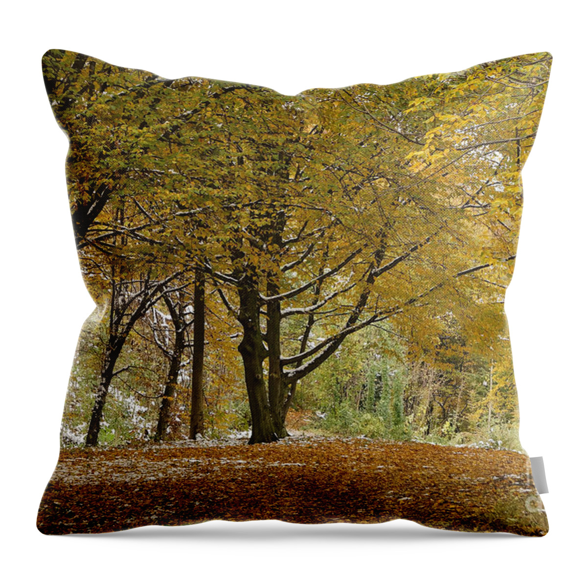 Landscape Throw Pillow featuring the photograph autumn on Moenchsberg in Salzburg by Rudi Prott