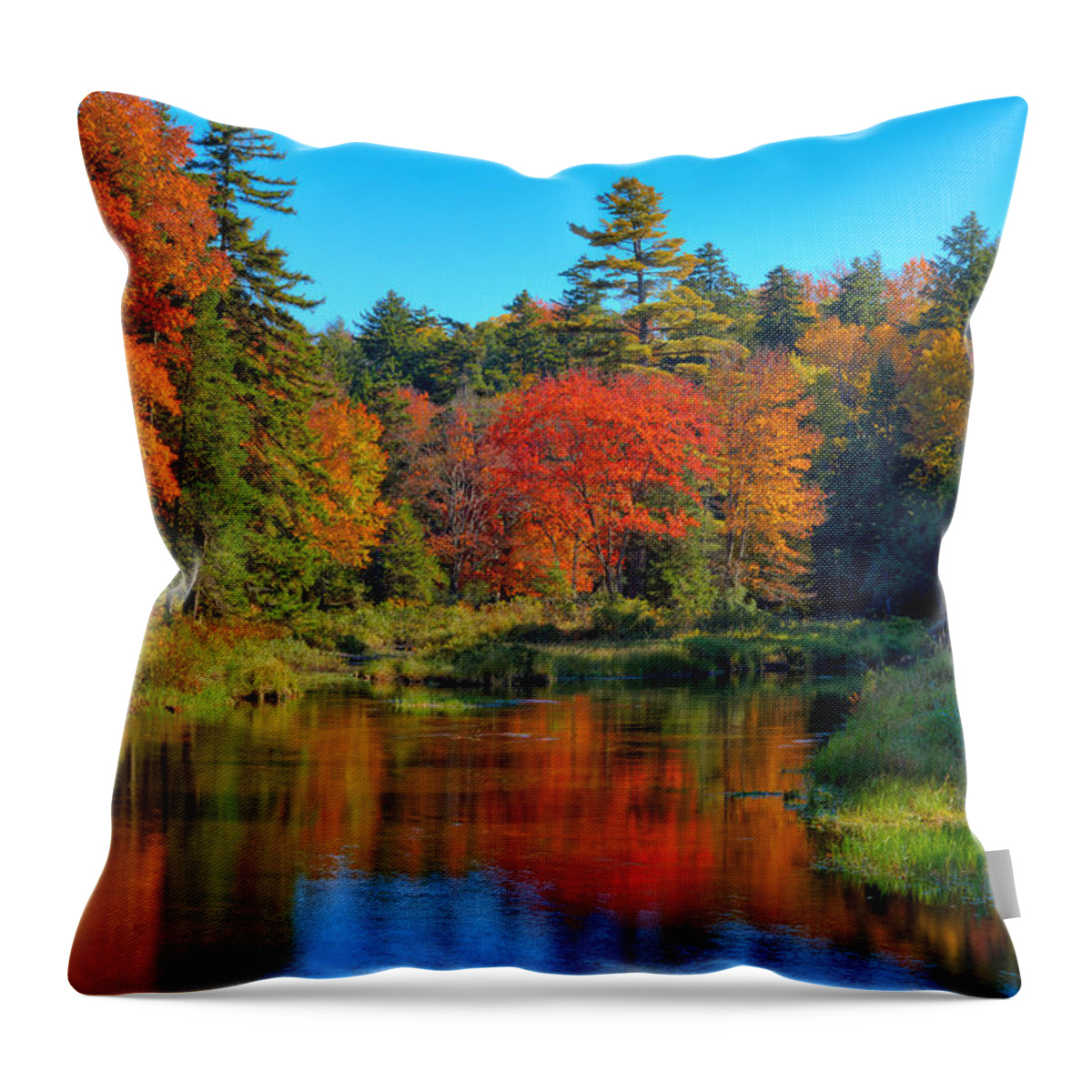 Upper Branch Moose River Throw Pillow featuring the photograph Autumn on the Upper Branch of the Moose by David Patterson
