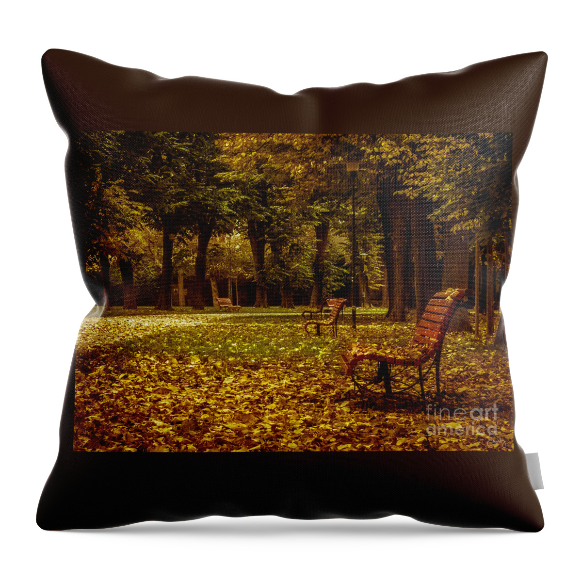 Autumn Park Throw Pillow featuring the photograph Autumn Park by Prints of Italy
