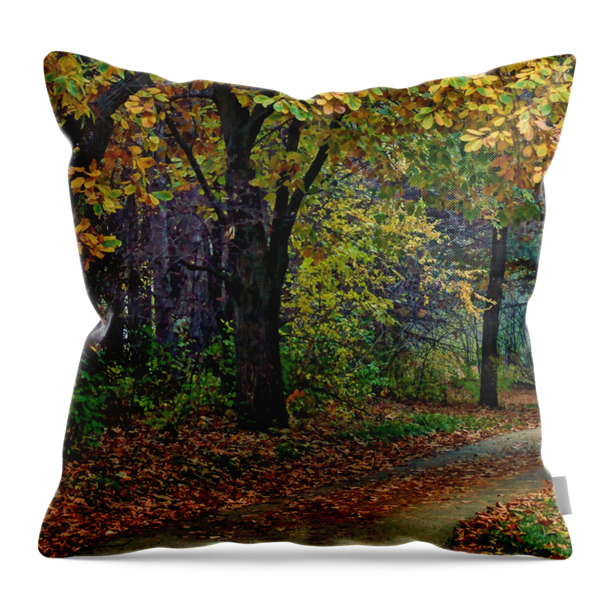 Autumn Throw Pillow featuring the photograph Autumn Path by Nikolyn McDonald