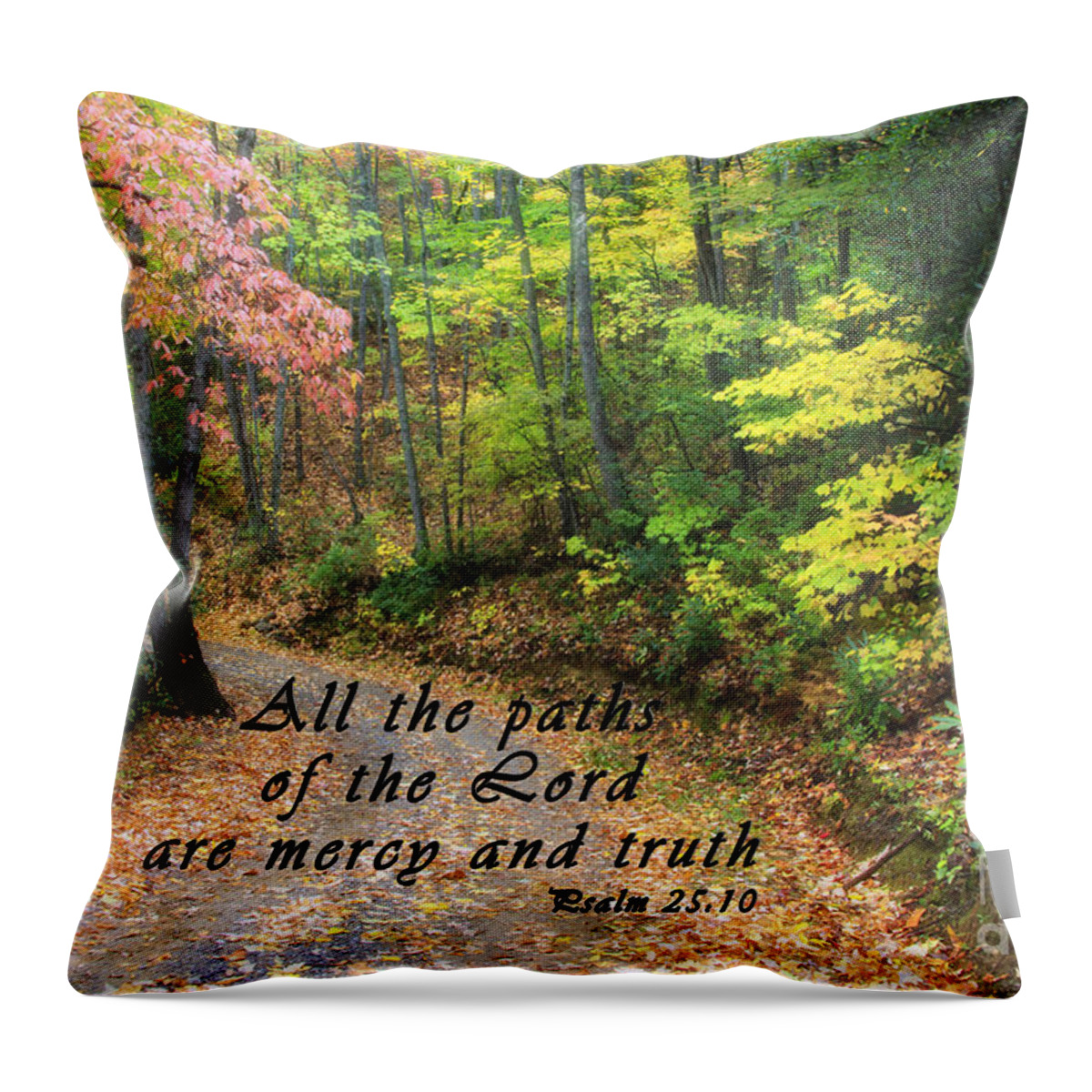 North Throw Pillow featuring the photograph Autumn Path with Scripture by Jill Lang