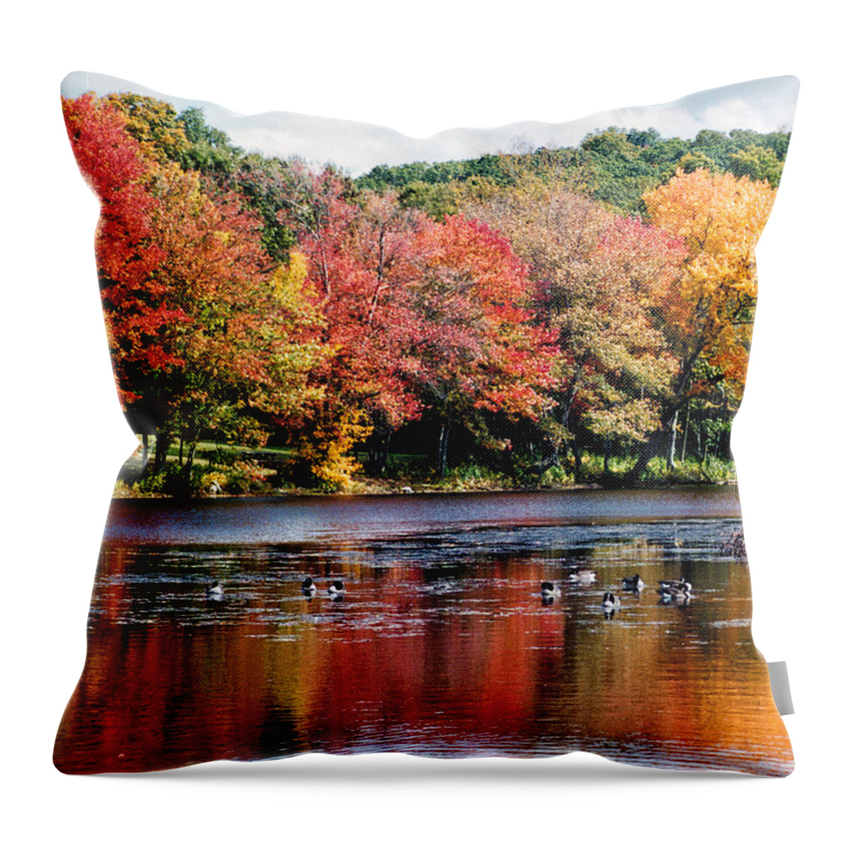 Scenic Throw Pillow featuring the photograph Autumn Pond by William Selander