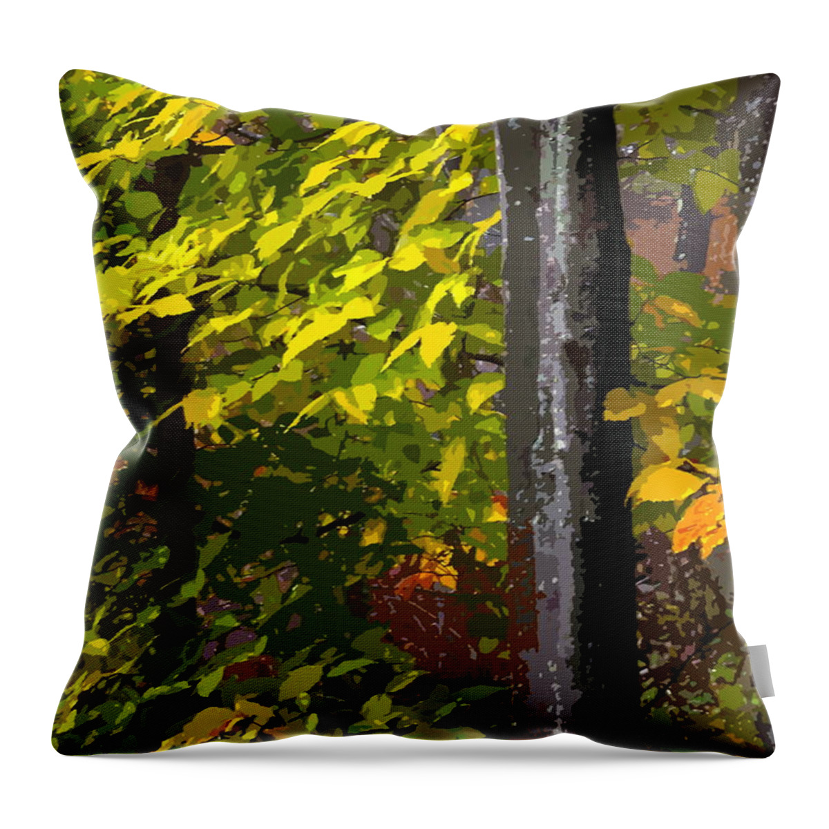 Autumn Throw Pillow featuring the photograph Autumn by Randy Pollard