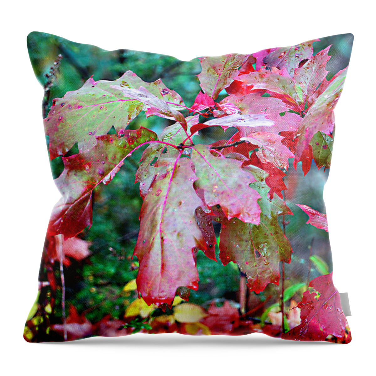 Autumn Throw Pillow featuring the photograph Autumn Red Oak Leaf by Linda Cox