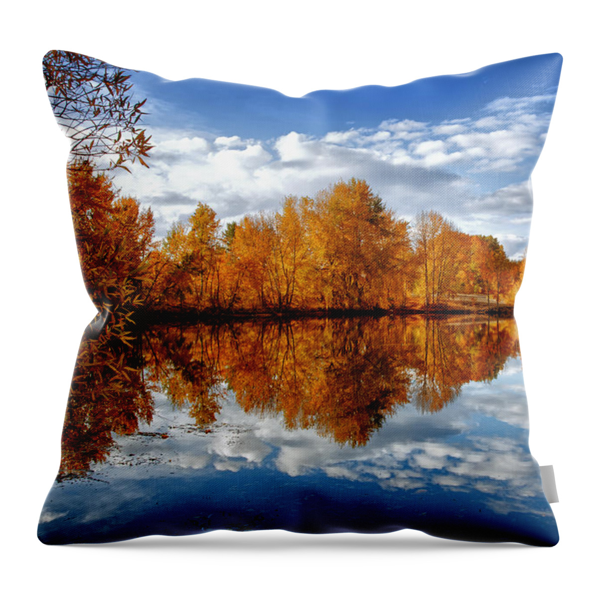 Autumn Throw Pillow featuring the photograph Autumn Reflection by Mary Jo Allen