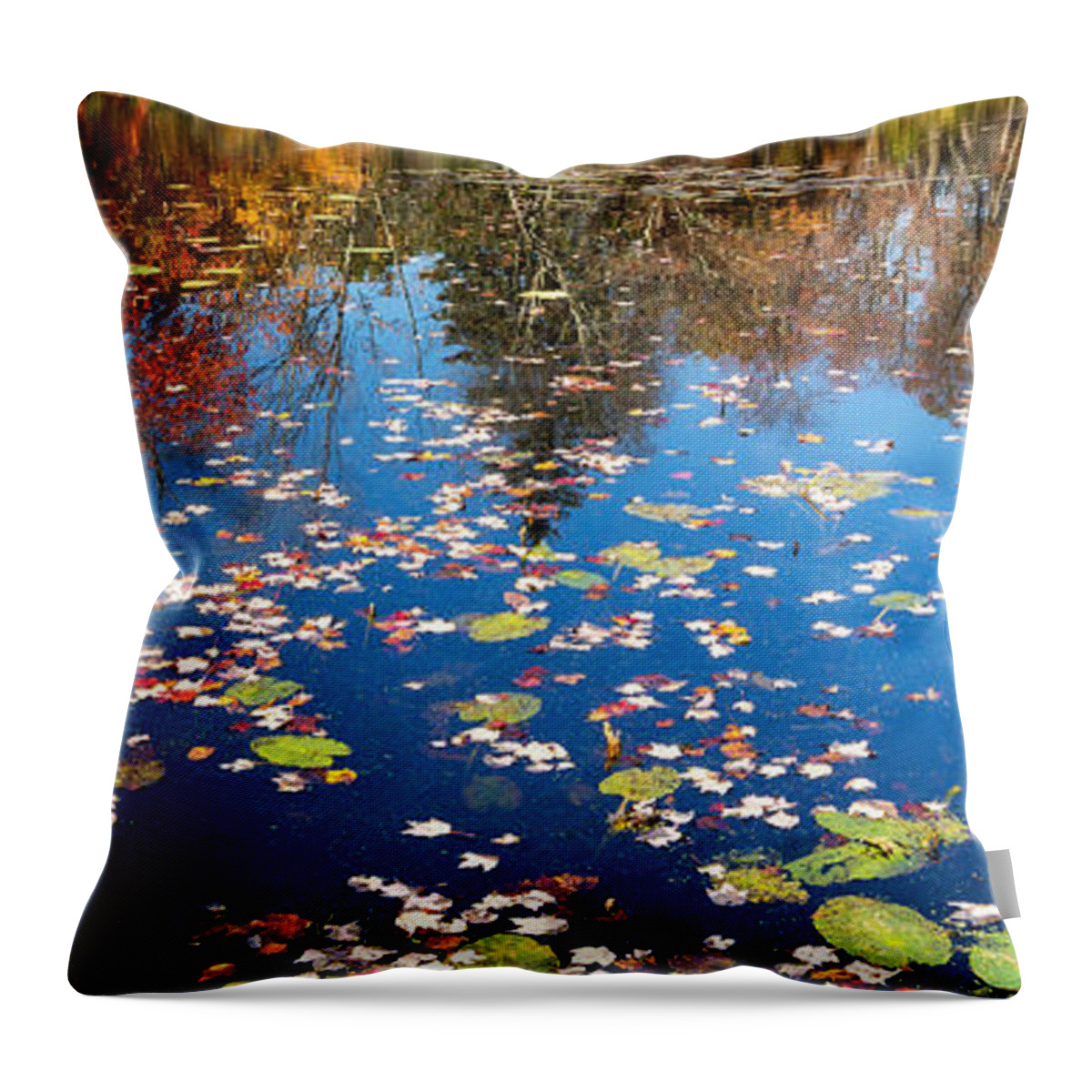 Reflection Throw Pillow featuring the photograph Autumn Reflections by Bill Wakeley