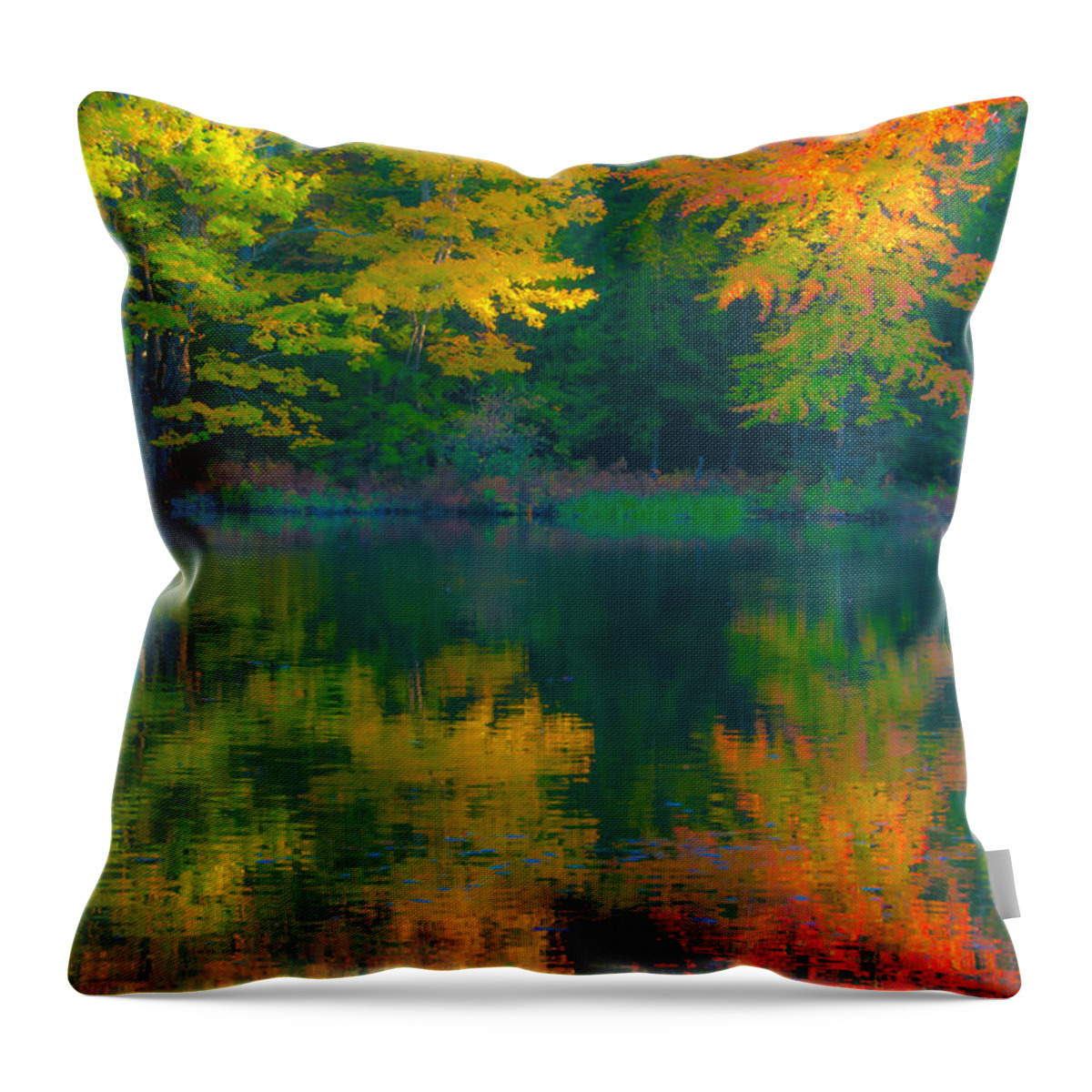 Brenda Throw Pillow featuring the photograph Autumn Reflections by Brenda Jacobs