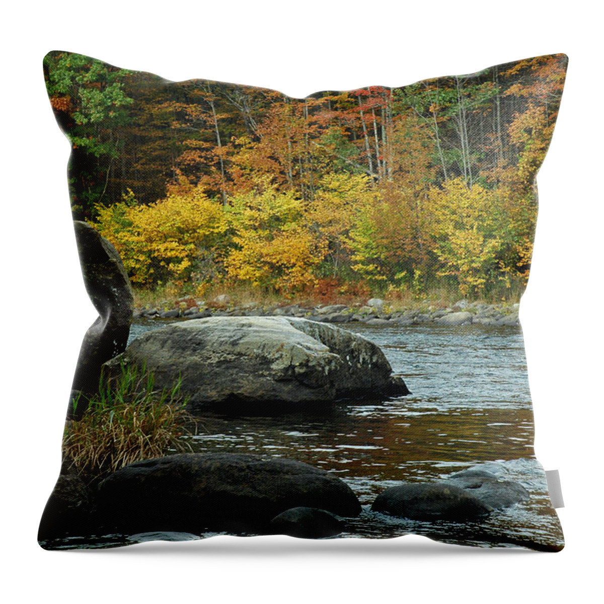 New York Throw Pillow featuring the photograph Autumn River Boulders in Upstate New York by Bruce Gourley