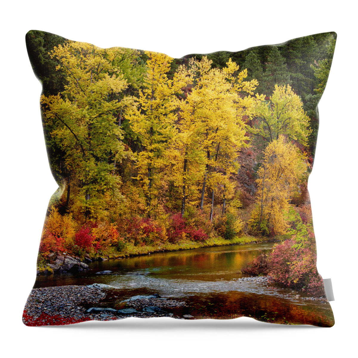 Montana Throw Pillow featuring the photograph Autumn River by Mary Jo Allen