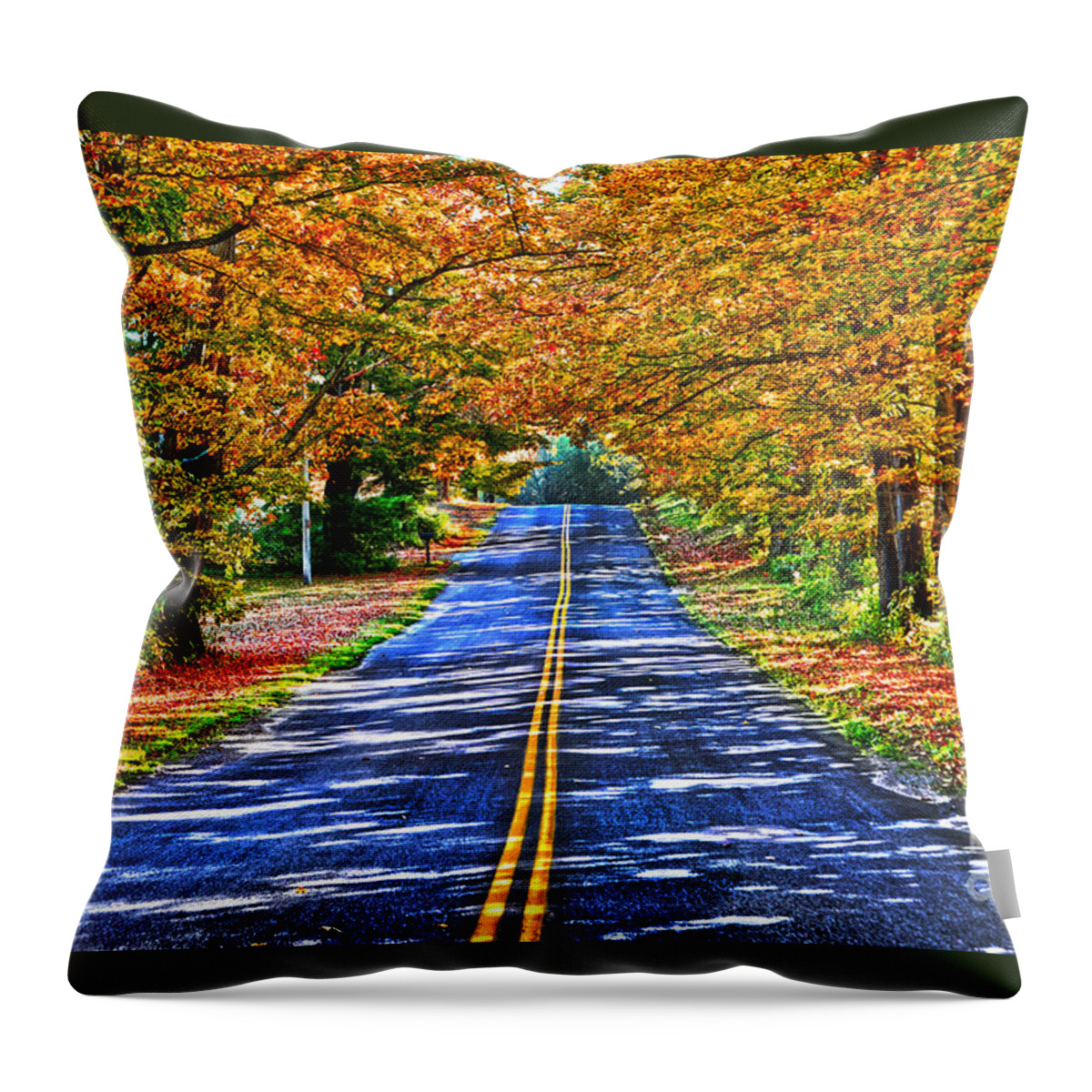 Diane Berry Throw Pillow featuring the photograph Autumn Road Oneida County NY by Diane E Berry