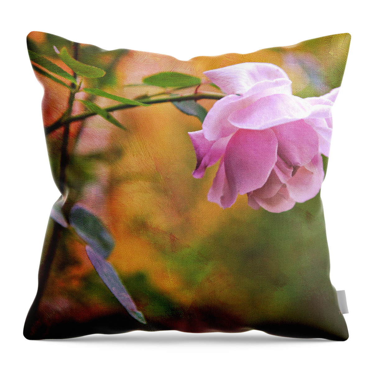 Rose Throw Pillow featuring the photograph Autumn Rose by Theresa Tahara