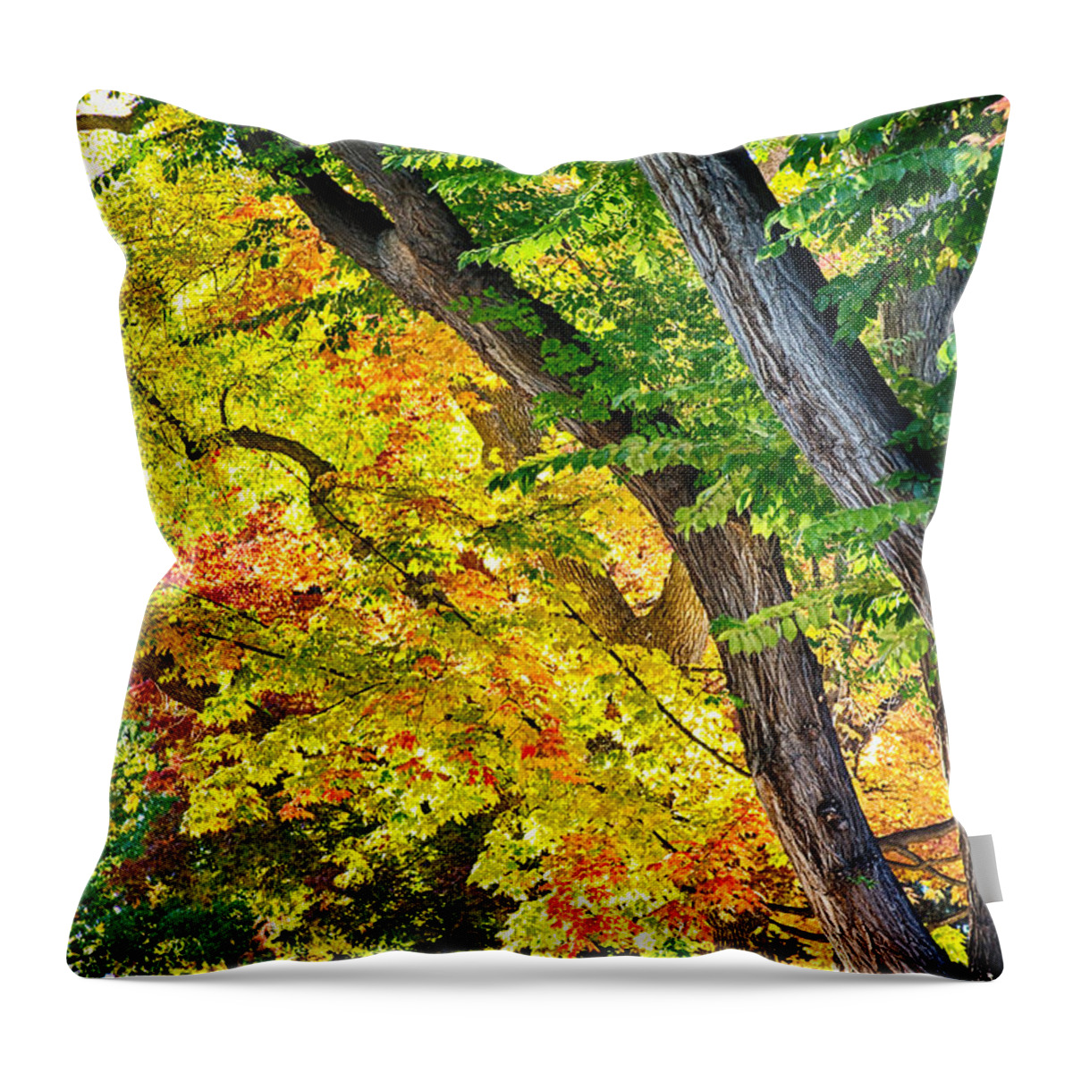 Autumn Throw Pillow featuring the photograph Autumn Season Leaves in Full Glory by James BO Insogna