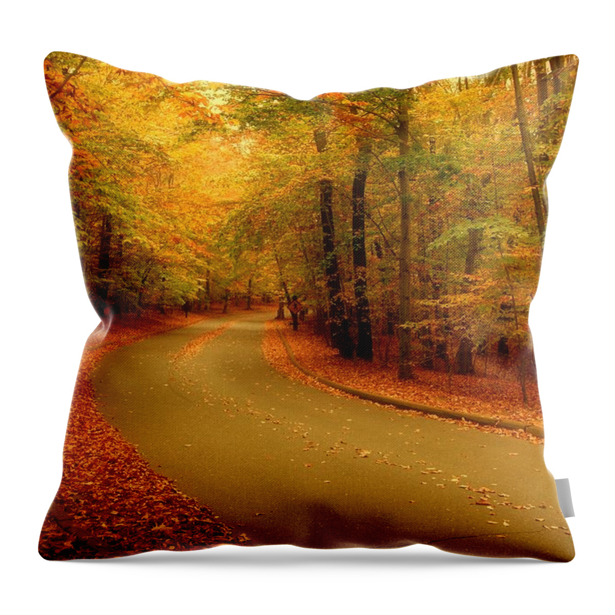 Autumn Landscapes Throw Pillow featuring the photograph Autumn Serenity - Holmdel Park by Angie Tirado