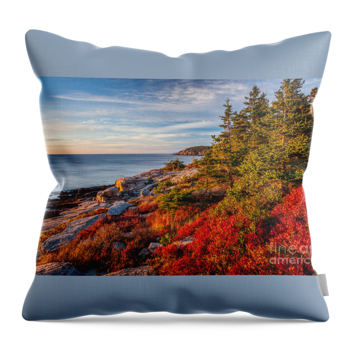 Acadia National Park Throw Pillow featuring the photograph Autumn Shore in Acadia by Susan Cole Kelly