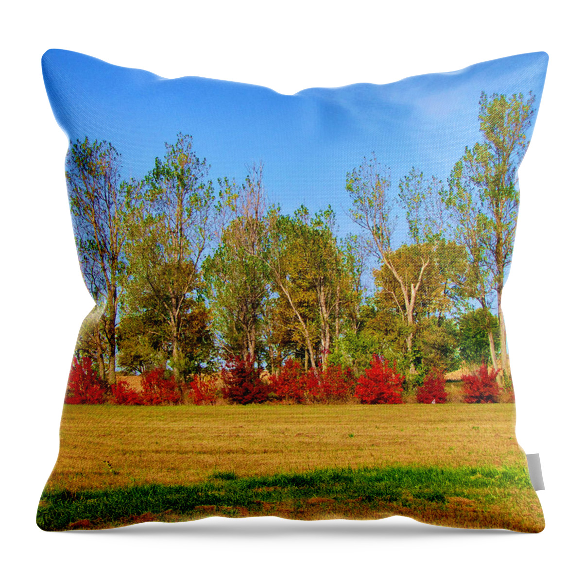 Autumn Throw Pillow featuring the photograph Autumn Spectacular by Maciek Froncisz