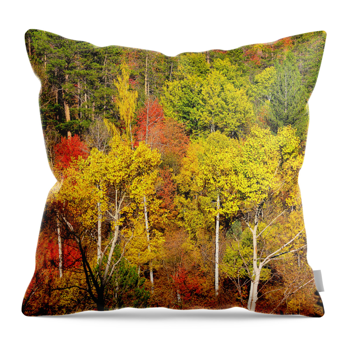 Autumn Throw Pillow featuring the photograph Autumn Splendor by Greg Norrell