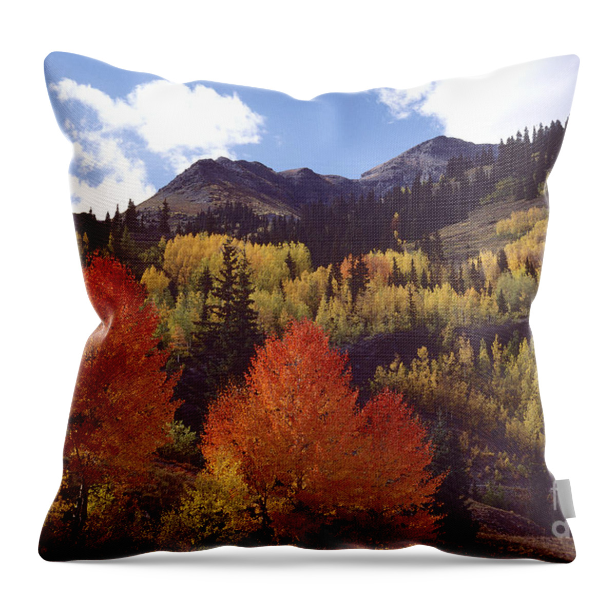 Mountains Throw Pillow featuring the photograph Autumn Splendor by Bon and Jim Fillpot