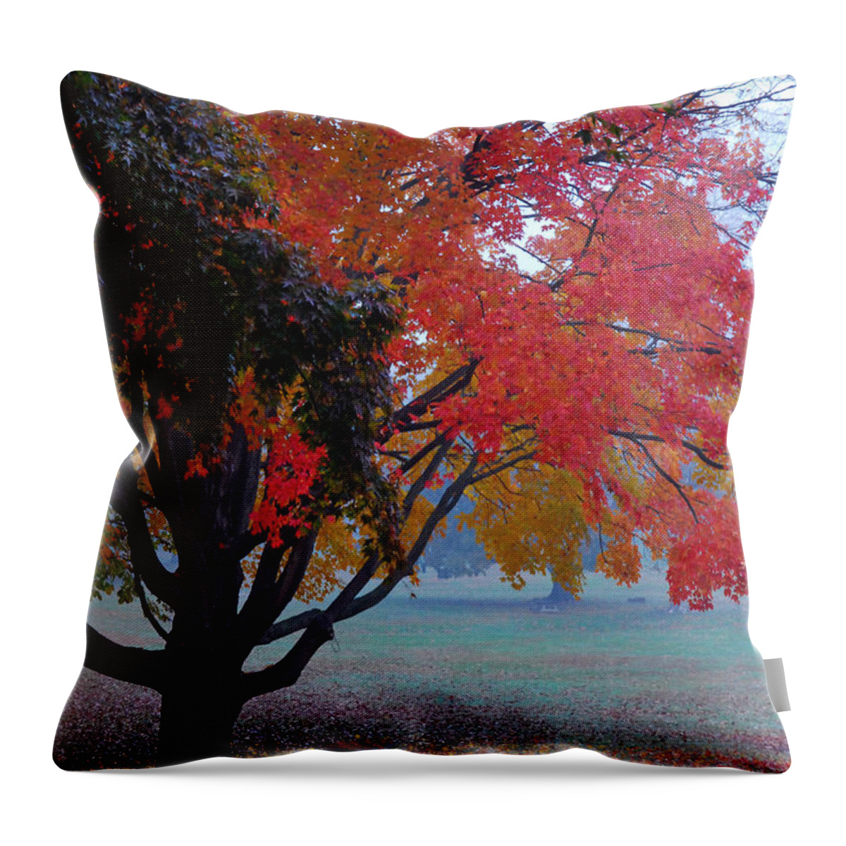 Autumn Splendor Throw Pillow featuring the photograph Autumn Splendor by Lisa Phillips