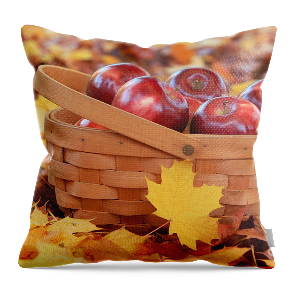 Maine Throw Pillow featuring the photograph Autumn Still Life by Karin Pinkham