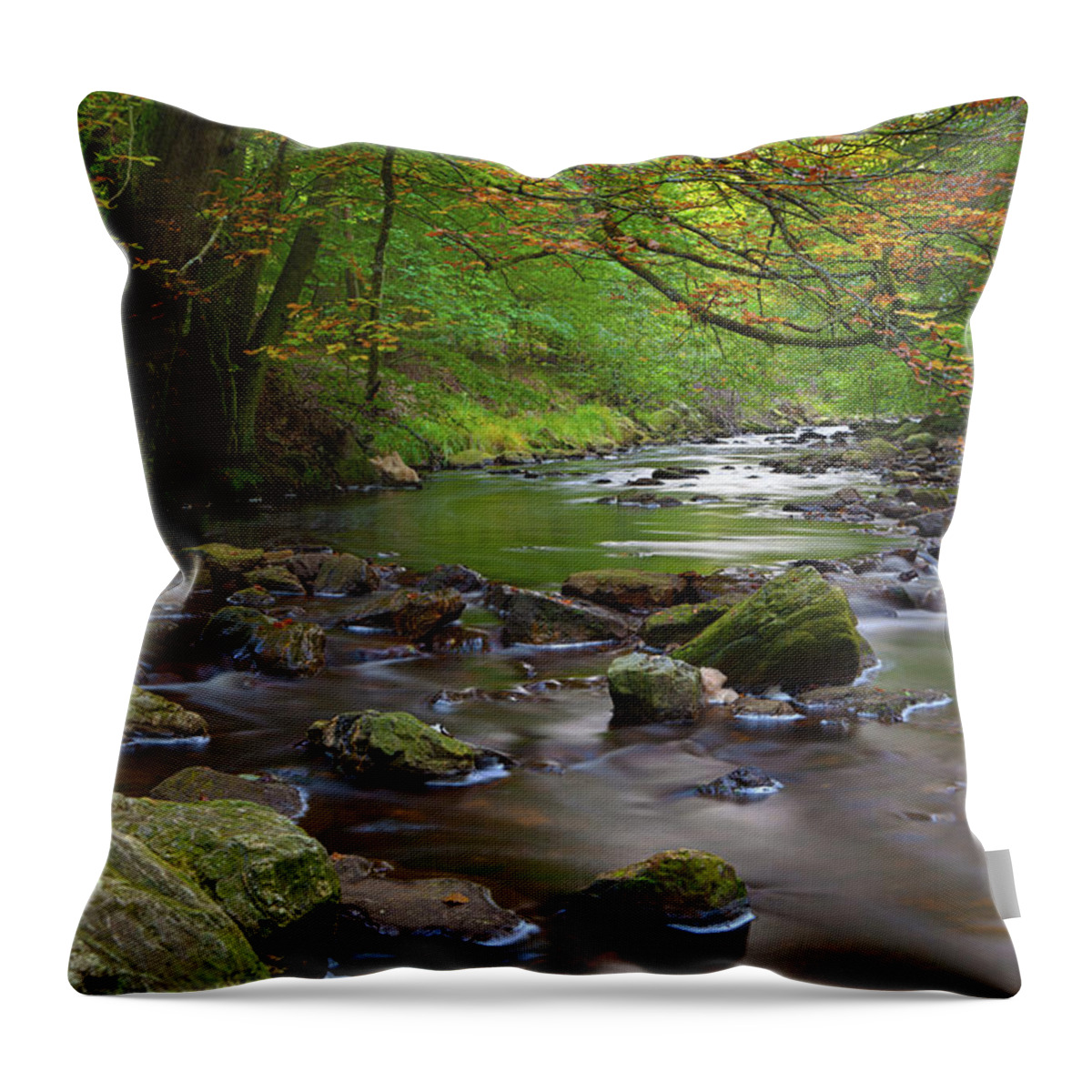 Scenics Throw Pillow featuring the photograph Autumn Stream Long Exposure by Michaelutech