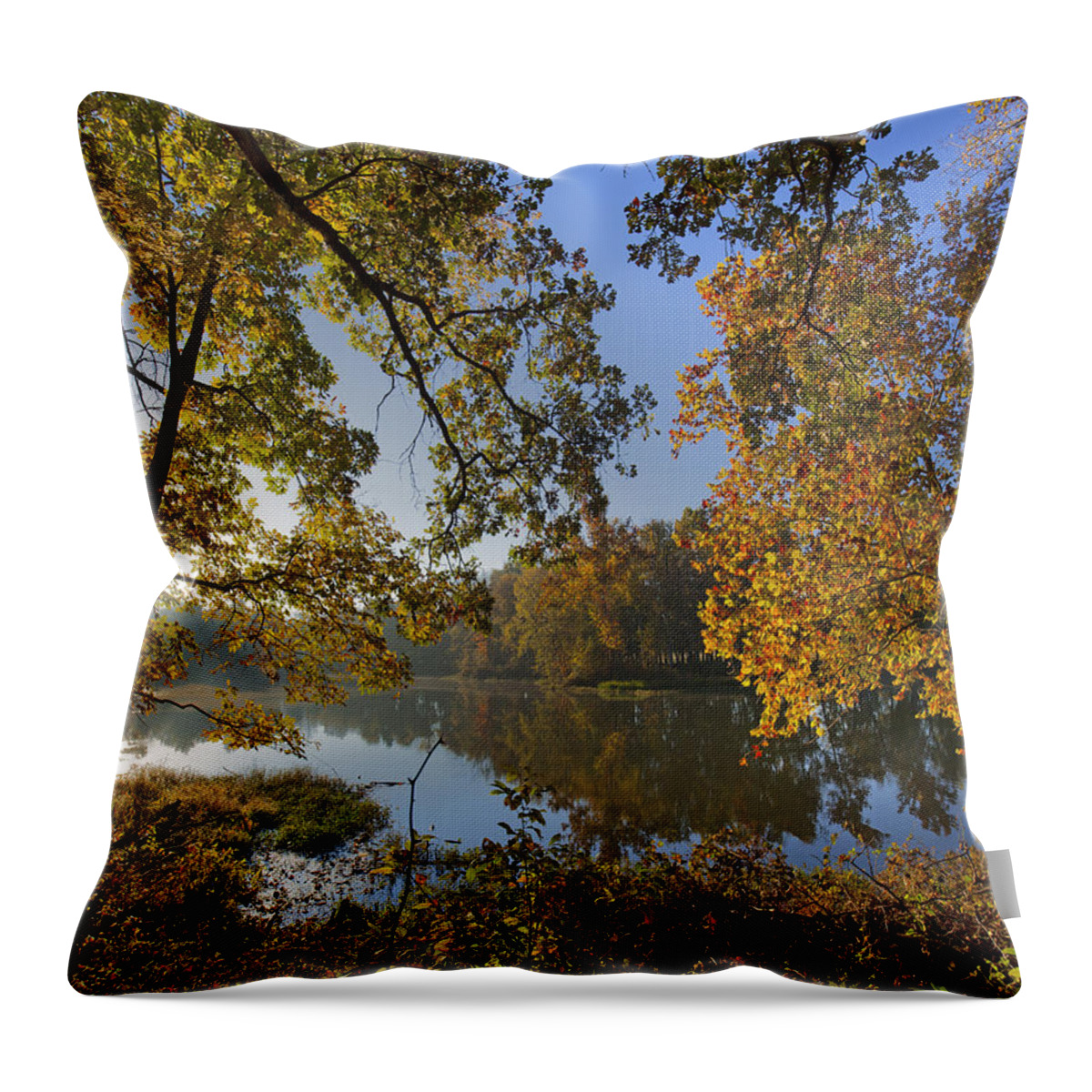Tim Fitzharris Throw Pillow featuring the photograph Autumn Sunrise On Lake Sequoyah Arkansas by Tim Fitzharris