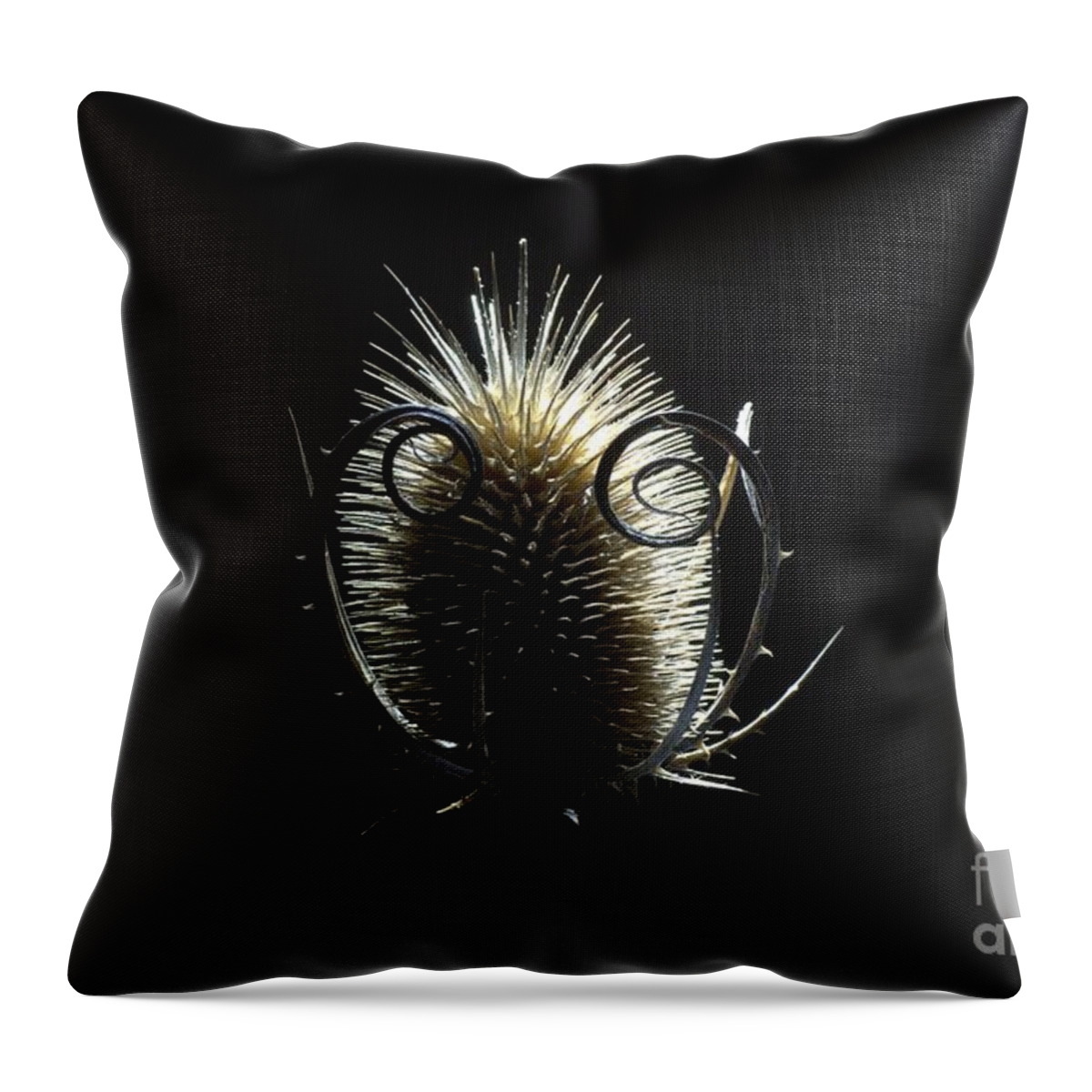 Thistle Throw Pillow featuring the photograph Autumn thistle by Amalia Suruceanu