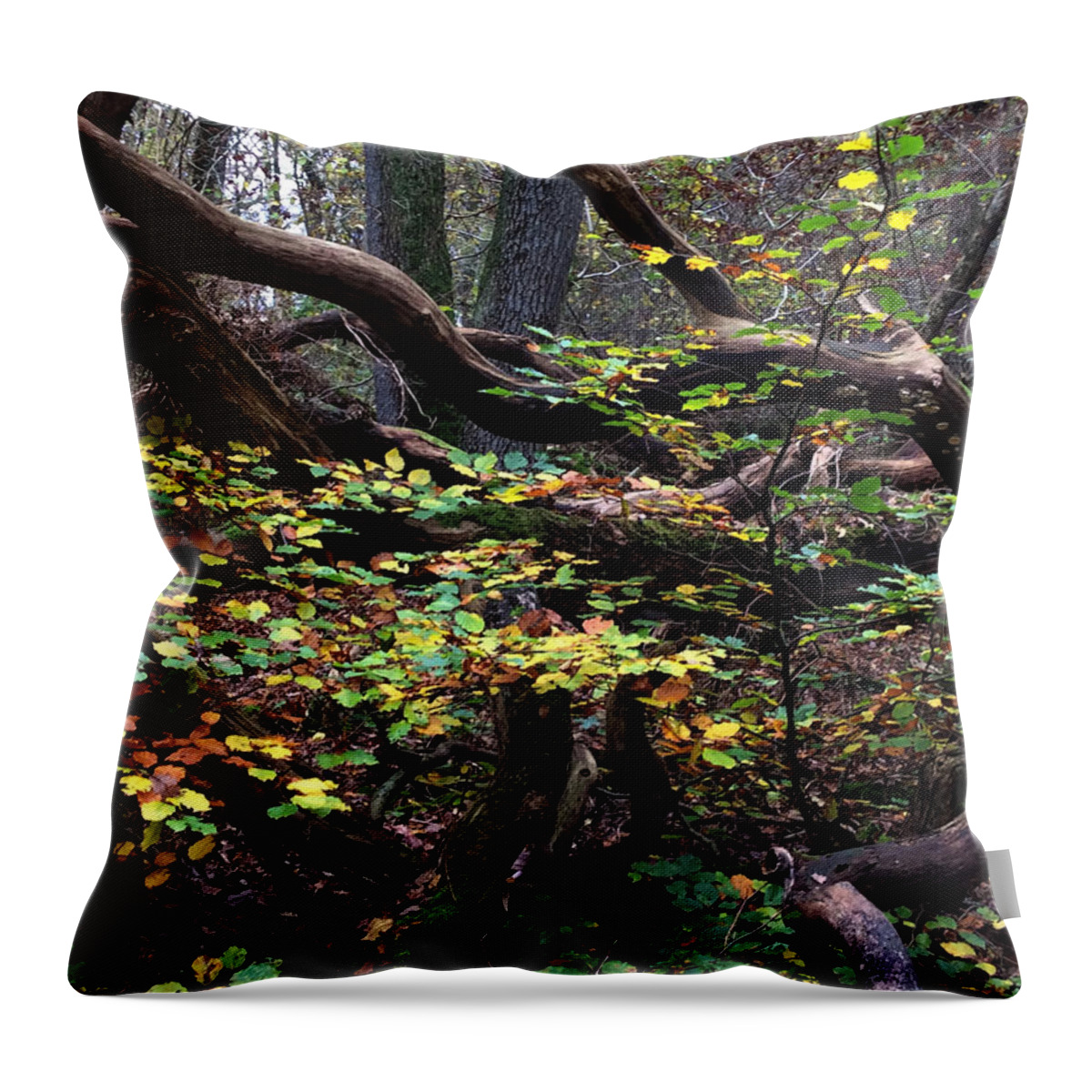 Colette Throw Pillow featuring the photograph Autumn Time in Denmark by Colette V Hera Guggenheim