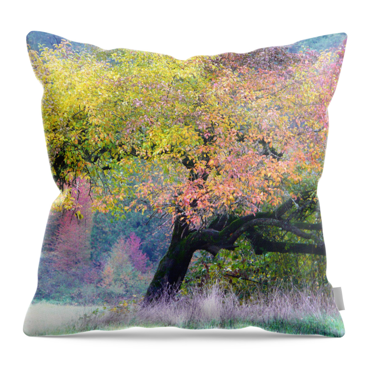 Tree Throw Pillow featuring the photograph Autumn Tree by Lori Seaman