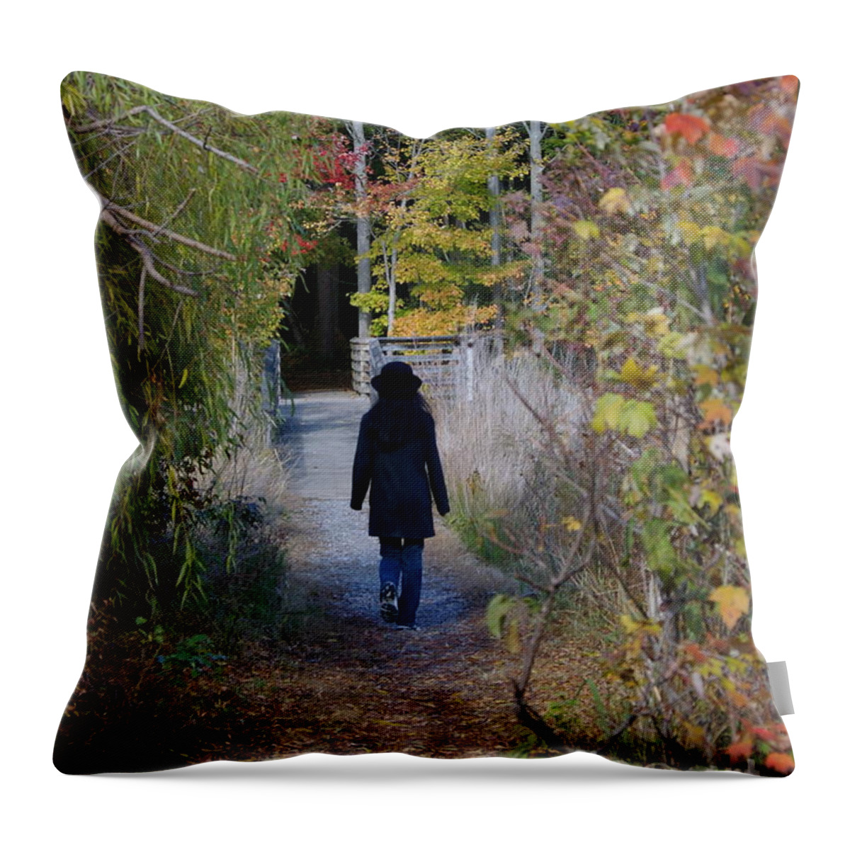 Landscape Throw Pillow featuring the photograph Autumn Walk by Tannis Baldwin