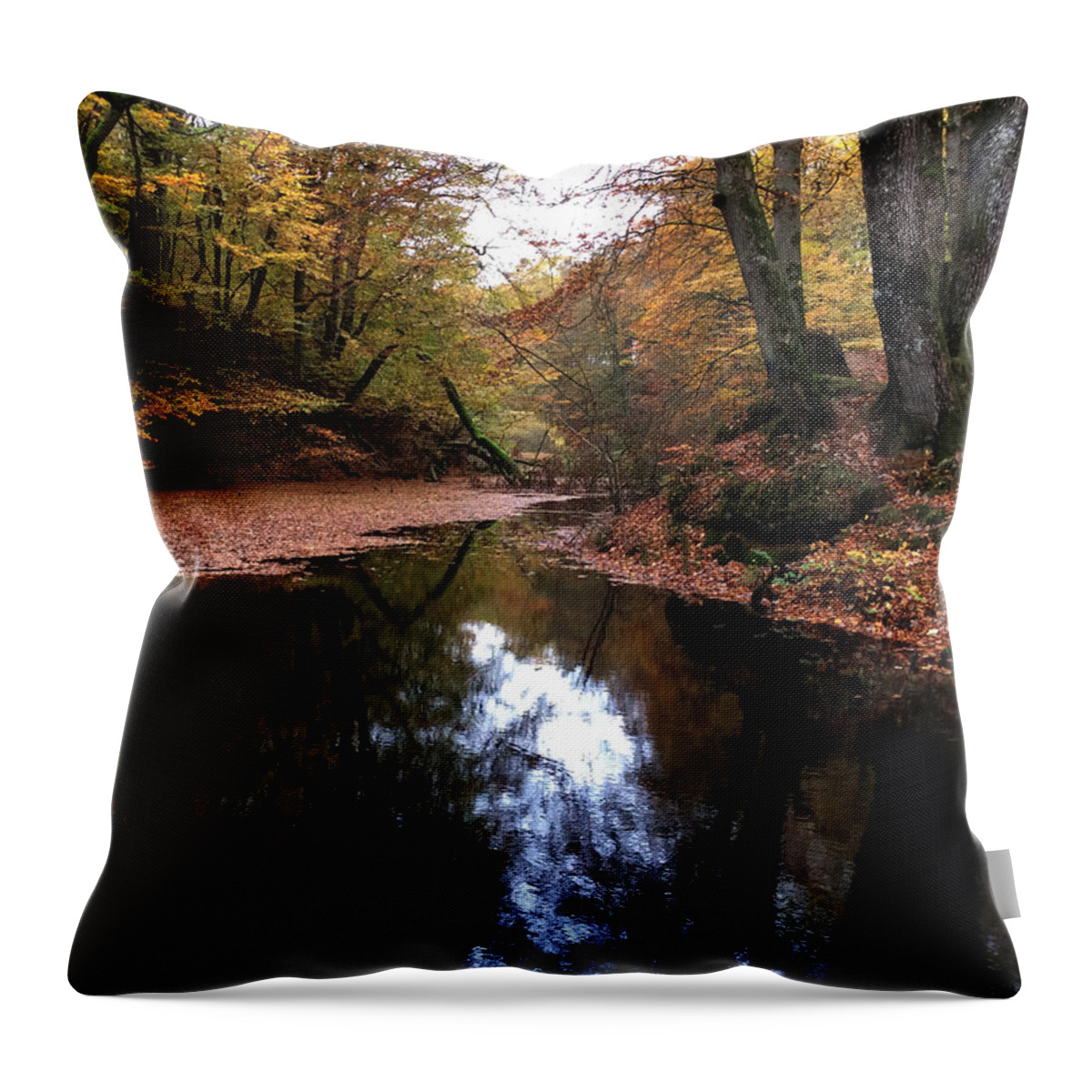 Colette Throw Pillow featuring the photograph Autumn Weather Denmark by Colette V Hera Guggenheim