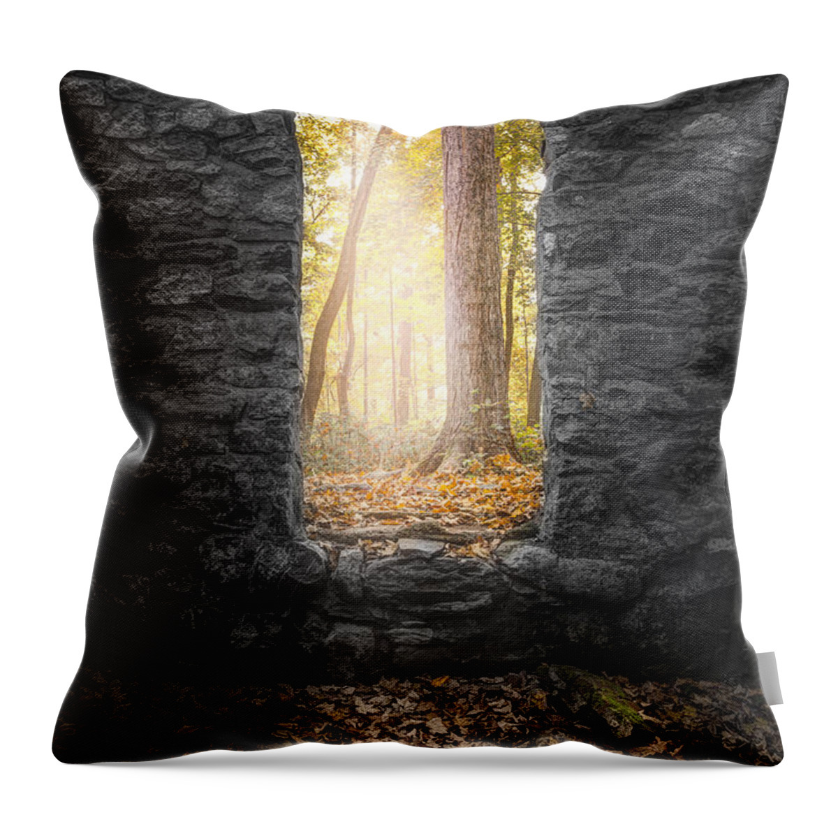 Autumn Throw Pillow featuring the photograph Autumn within Long Pond Ironworks - Historical Ruins by Gary Heller