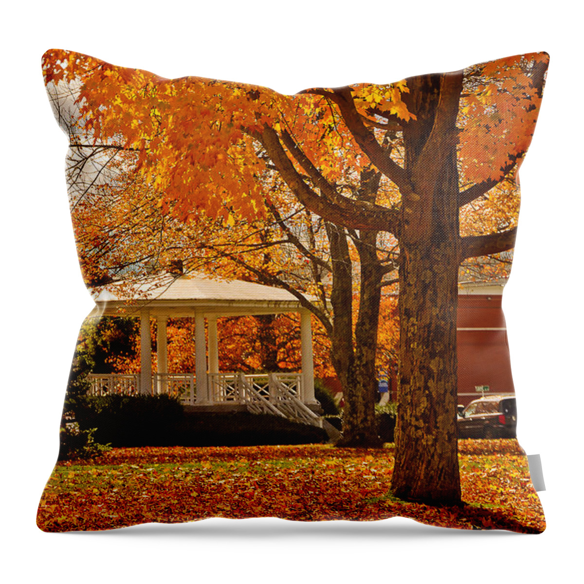 Autumn Throw Pillow featuring the photograph Autumnal Barre Common by Mitchell R Grosky