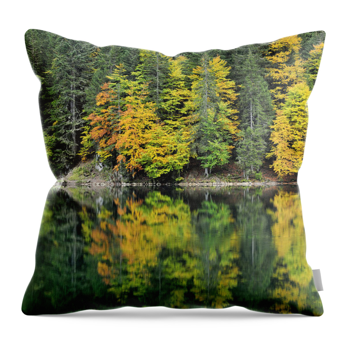 Nis Throw Pillow featuring the photograph Autumn forest Reflected In Lake Haute by Andre Gilden