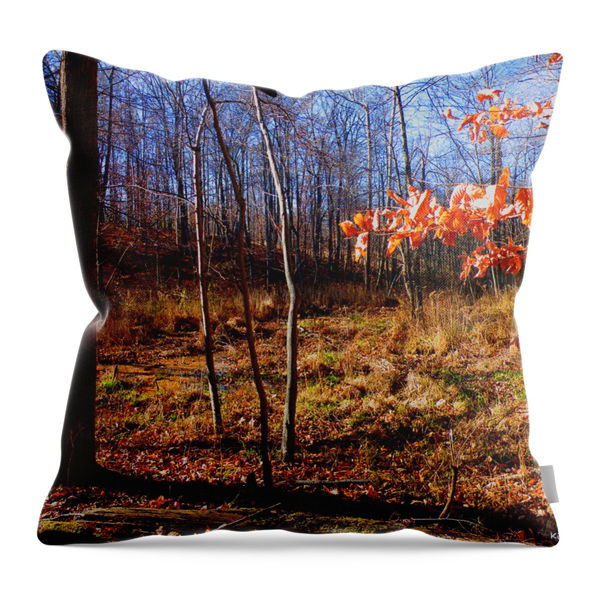 Autumn Throw Pillow featuring the photograph Autumn's End by Kimmary MacLean