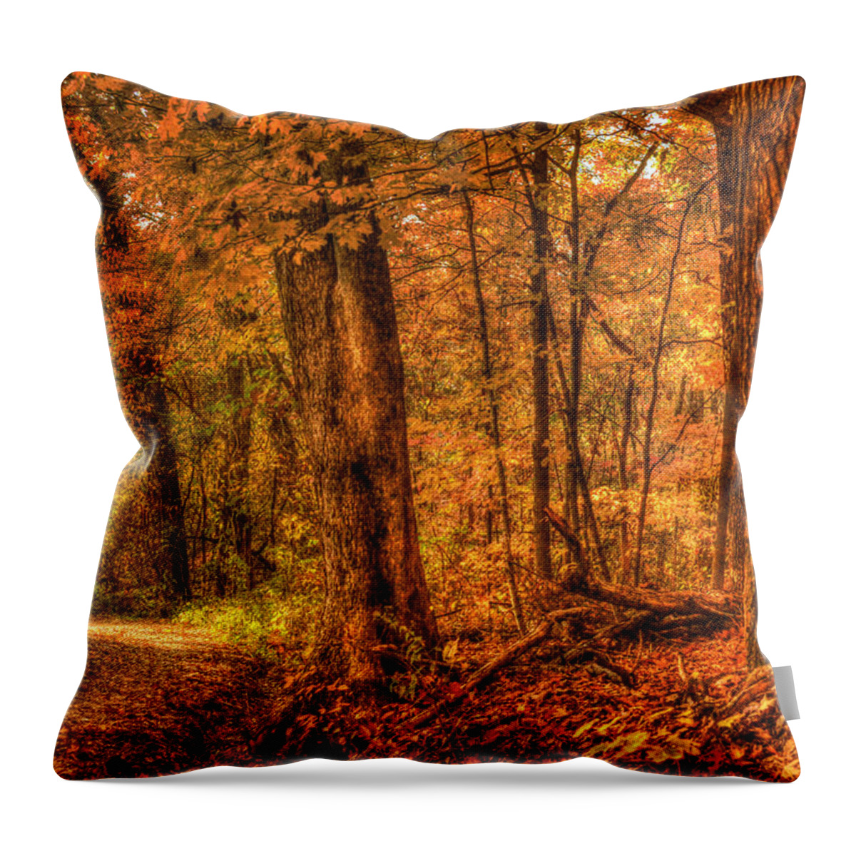 Autumn's Light Throw Pillow featuring the photograph Autumn's Light by William Fields
