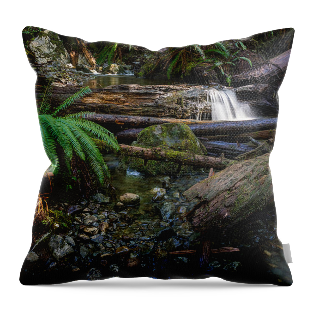 Avatar Grove Throw Pillow featuring the photograph Avatar Grove Creek Bed by Carrie Cole