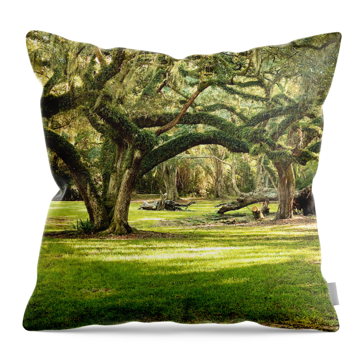 Oak Trees Throw Pillow featuring the photograph Avery Island Oaks by Scott Pellegrin