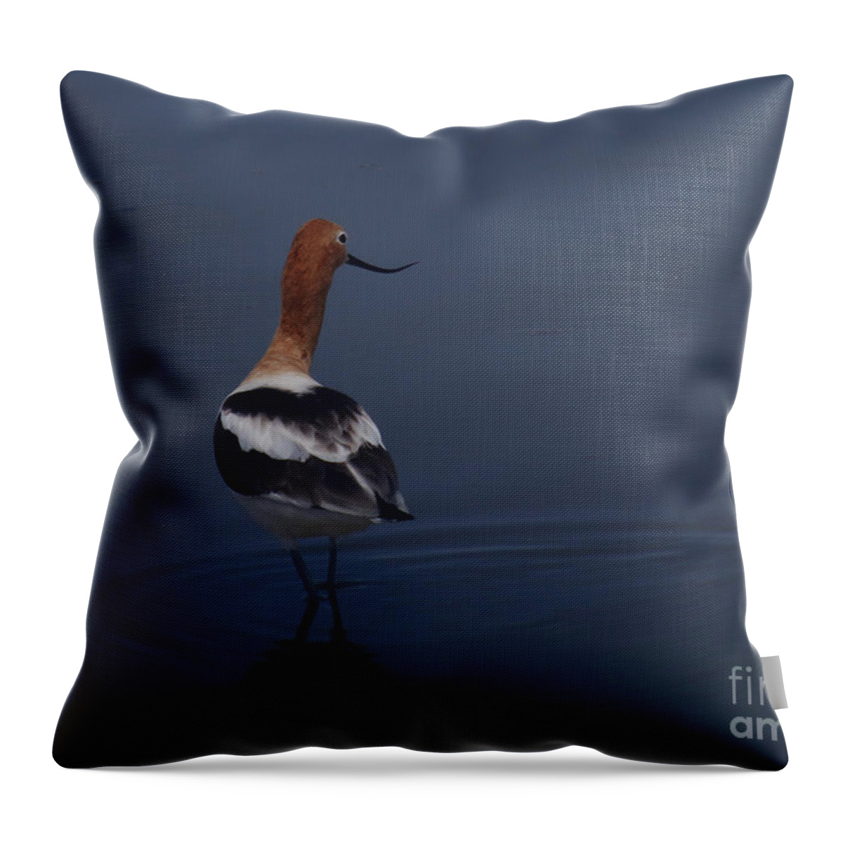 American Avocet Throw Pillow featuring the photograph Avocet Wading by Marty Fancy