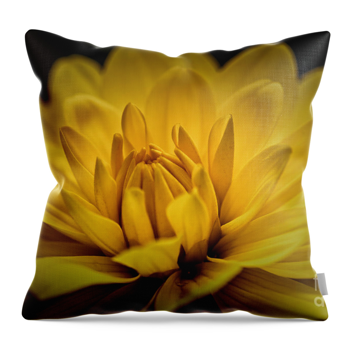 # Nature Throw Pillow featuring the photograph Awakening by Mary Lou Chmura