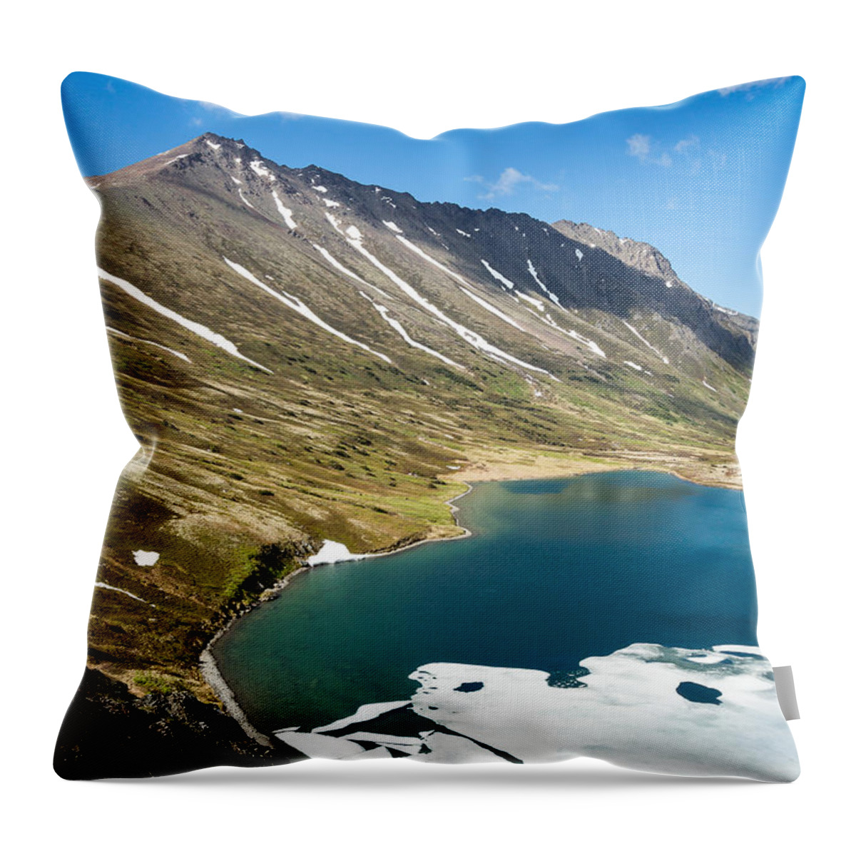 Landscape Throw Pillow featuring the photograph Awaking from Winter by Tim Newton